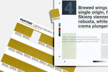 Load image into Gallery viewer, Pantone Lighting Indicator Stickers D65