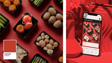 Load image into Gallery viewer, Pantone Connect - Abonnement annuel - Planetecouleur