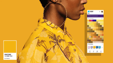 Load image into Gallery viewer, Pantone Connect - Abonnement annuel - Planetecouleur