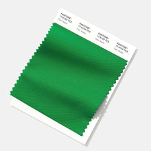 Charger l'image dans la galerie, Pantone Cotton Swatch Card SWCD TCX - Planetecouleur